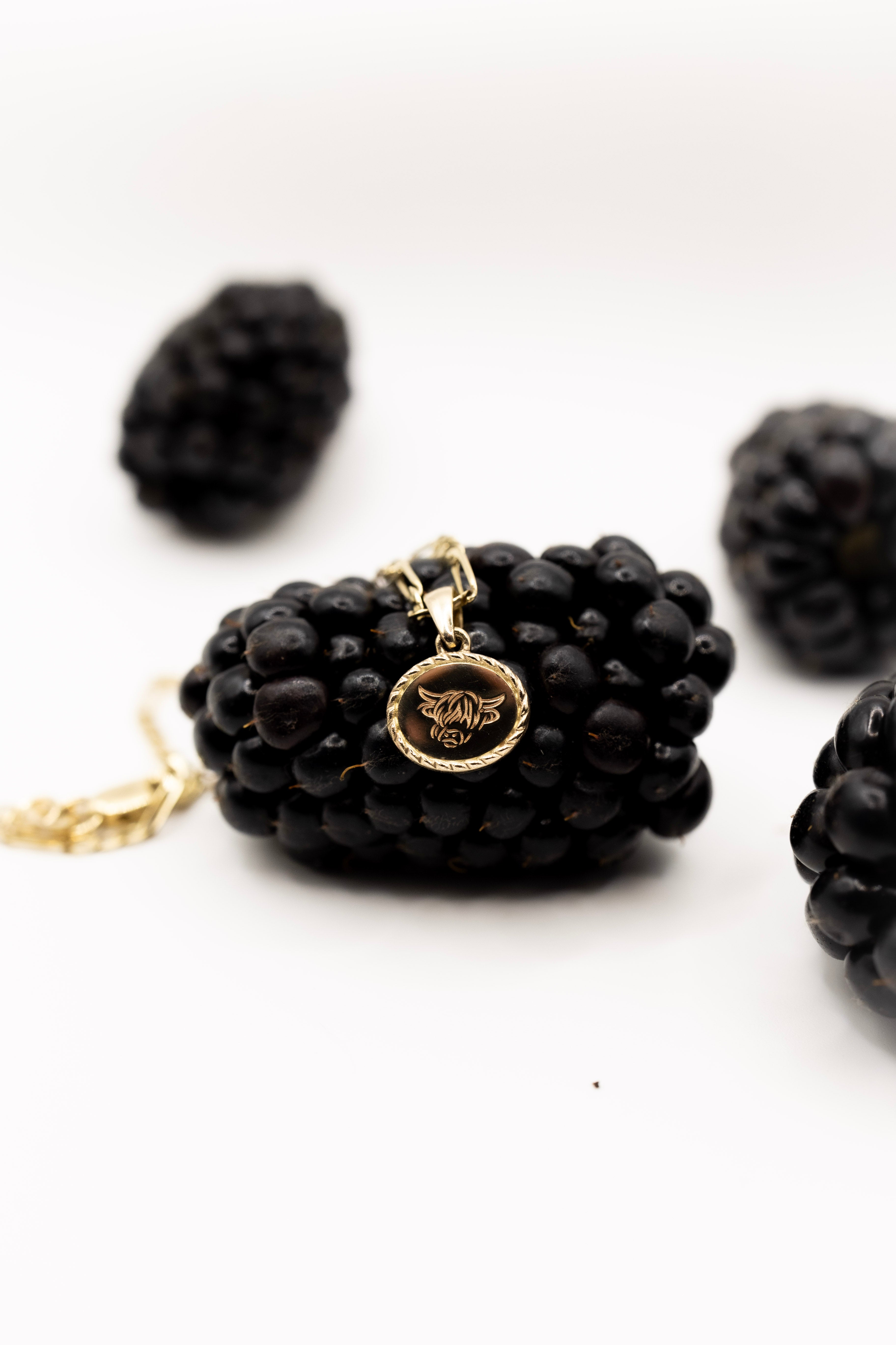 Highland Cow Engraved Solid Gold Charm on Blackberry backdrop on a white background