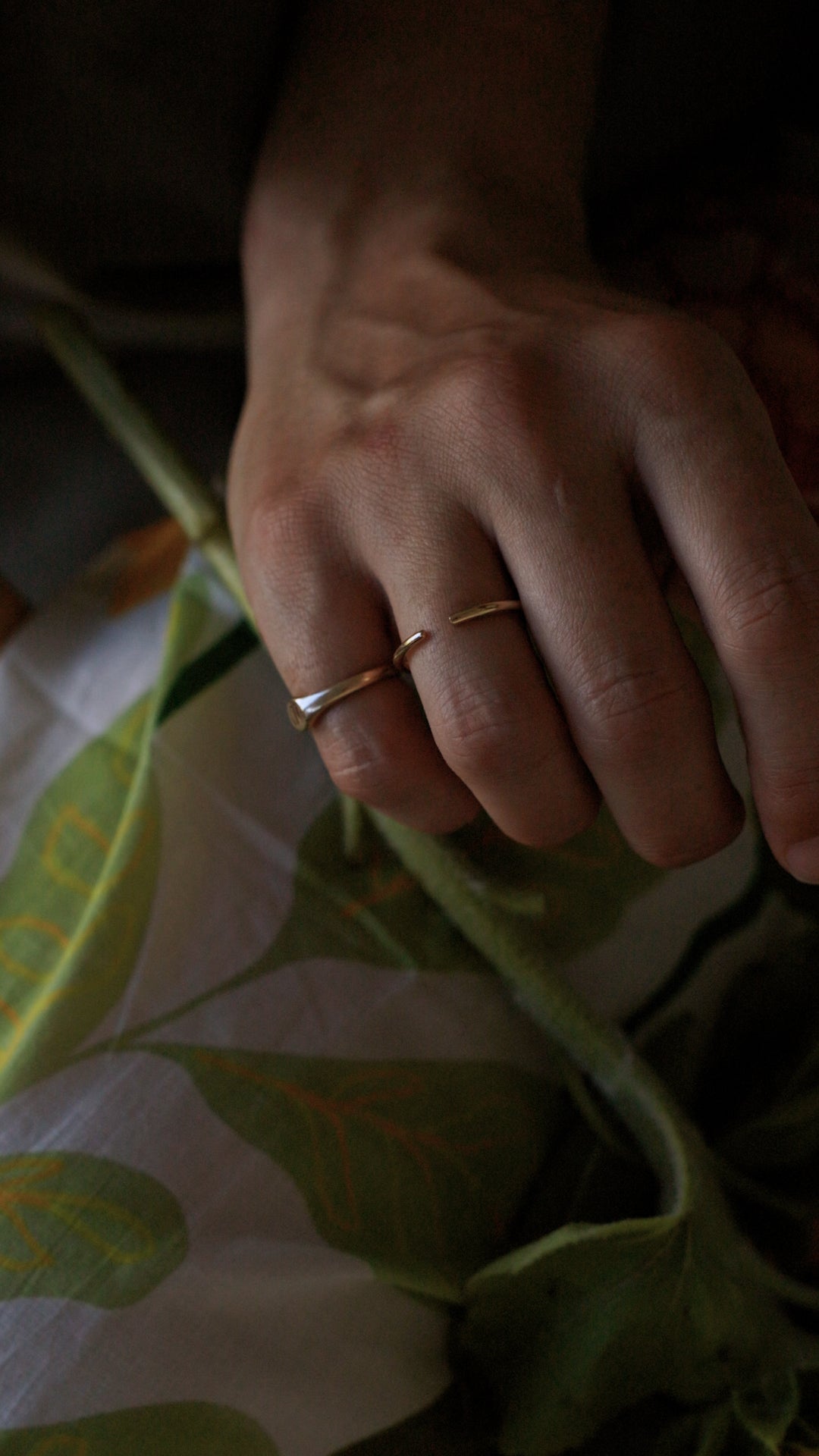 Close-up of a hand wearing a gold ring with a leafy background
