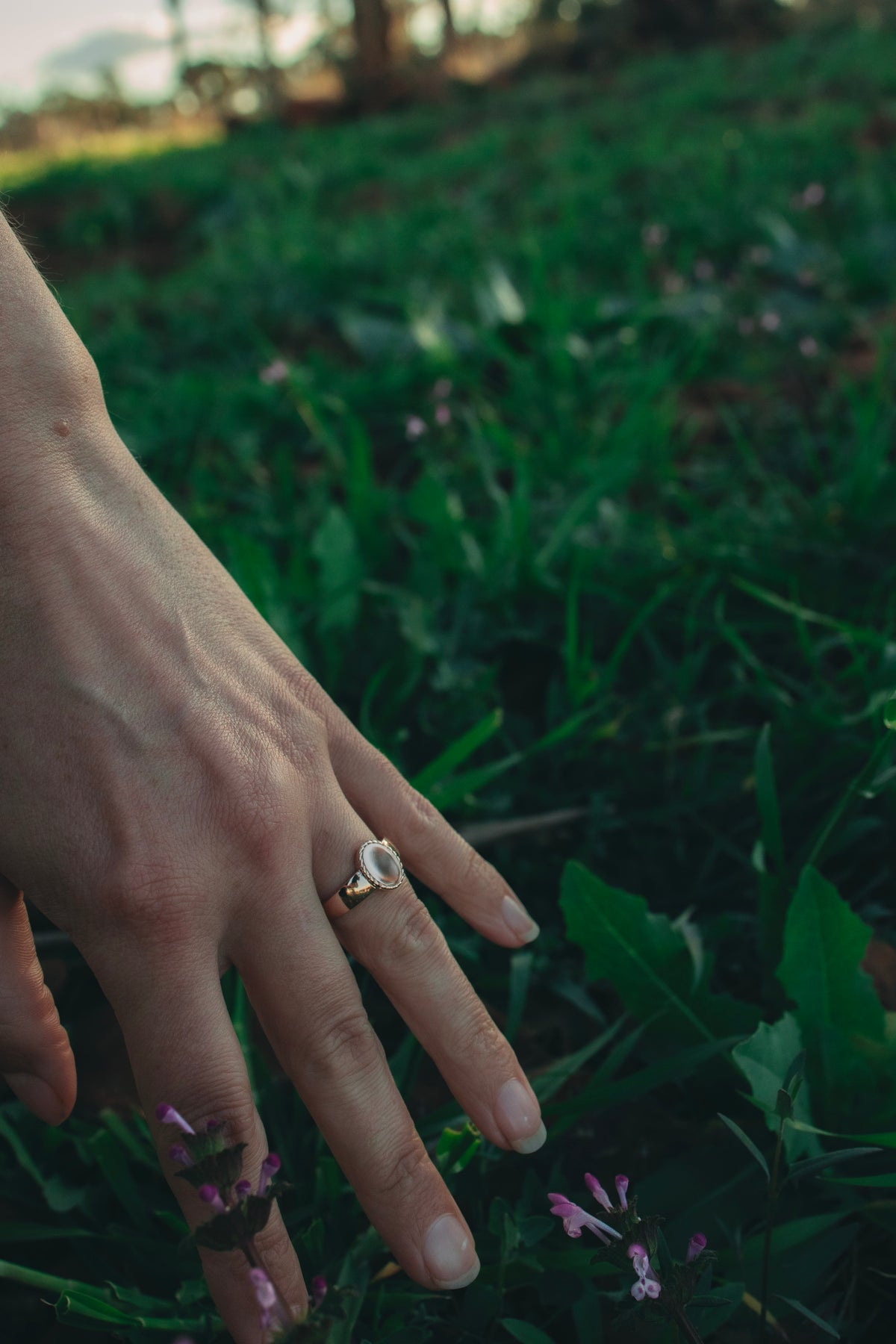 Eden Signet Ring