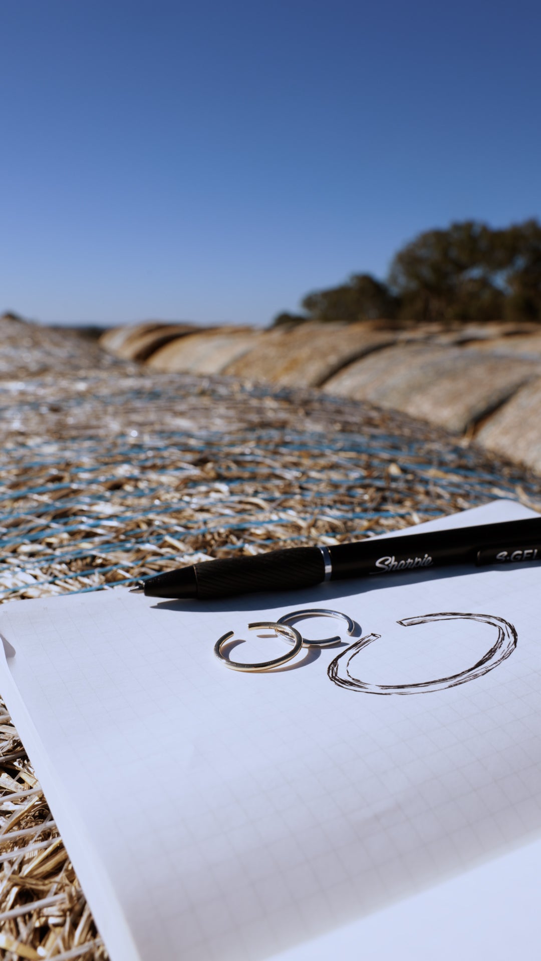 Pen and paper design of Lucy open ended rings inspired by Spring in NSW 