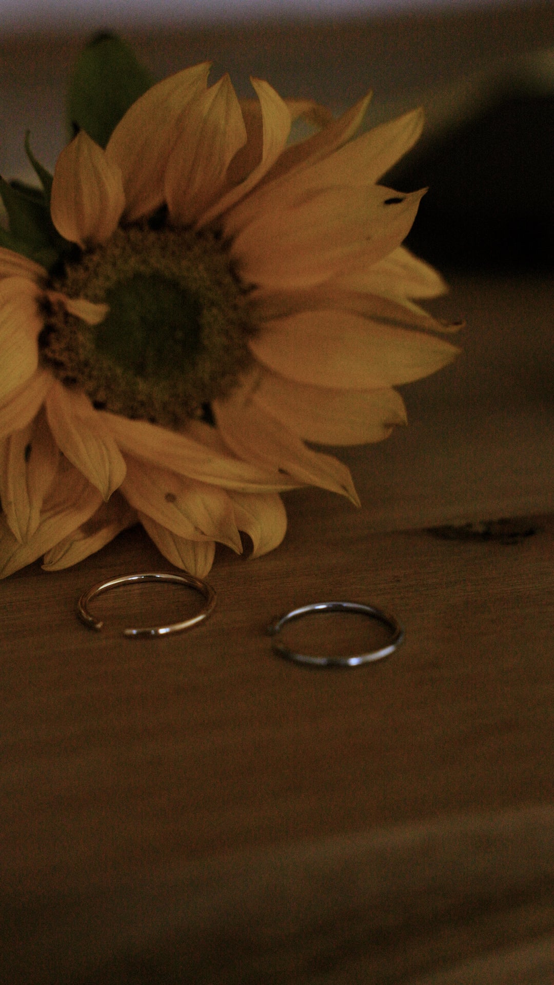 Sunflower and two rings on a wooden surface
